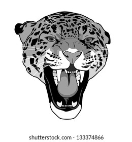leopard wild cat black and white outline vector