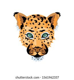 Leopard, wild cat face for pattern, design, t-shirt print, sticker. Vector illustration on white background.