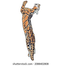 Leopard, wild cat. Hand drawn sketch of clouded leopard. Vector.