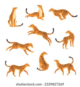 Leopard as Wild Cat with Long Spotted Body Sitting, Running and Walking Vector Set