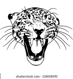 leopard wild cat outline black and white vector