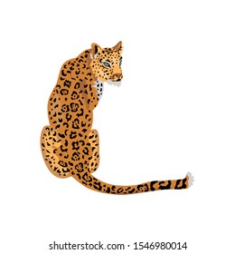 Leopard, wild cat for pattern, design, t-shirt print, sticker. Vector illustration on white background.