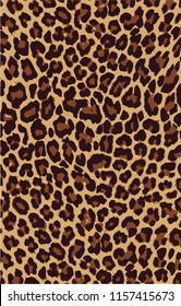 Leopard wild pattern