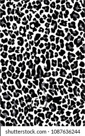 Leopard wild texture