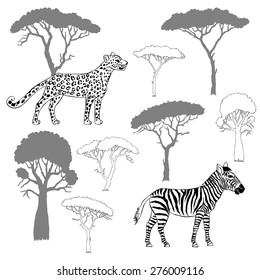 Leopard, zebra and savanna trees. Vector Illustration