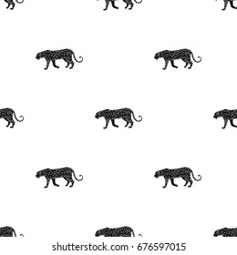 Leopard.African safari single icon in black style vector symbol stock illustration web.