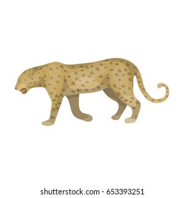 Leopard.African safari single icon in cartoon style vector symbol stock illustration web.