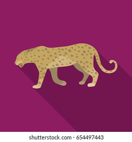 Leopard.African safari single icon in flat style vector symbol stock illustration web.