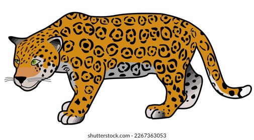 leopard,panthera pardus,wild animal of africa,side view picture isolated on white background