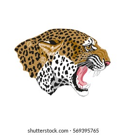 leopard's head