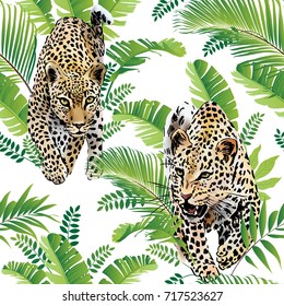 Leopards palm leaves tropical watercolor in the jungle seamless background