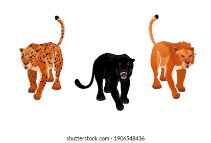 leopardos y paneles aislados en ilustración vectorial blanca