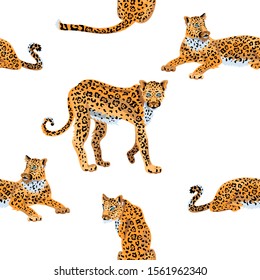 Leopards seamless pattern. Vector illustration.