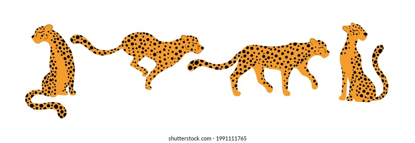 Leopards set. Vector illustrations of tropical animals in different poses in a simple cartoon hand-drawn style. Isolate on a white background