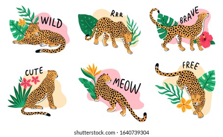 Leopards with tropical exotic leaves, and flowers. Colorful vector illustrations.
