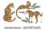 leopards and tropical leaves. Leopards surrounded by tropical plants. Vector illustration