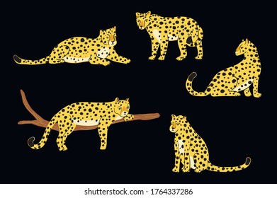 Leopards wild animals forest vector hand drawn illustrations set