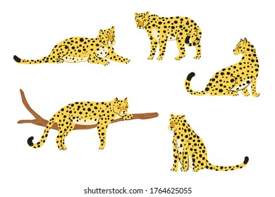 Leopards wild animals forest vector hand drawn illustrations set