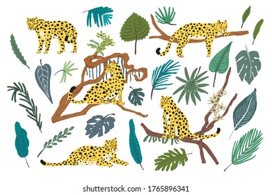 Leopards wild animals in jungle forest vector hand drawn illustrations set