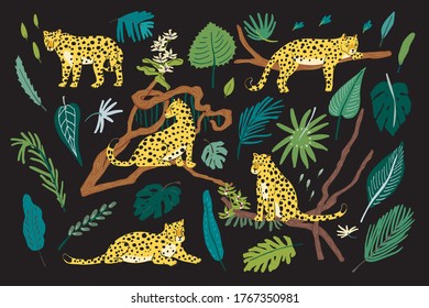 Leopards wild animals in jungle forest vector hand drawn illustrations set