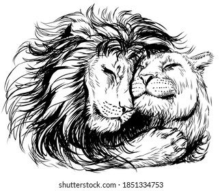 Leos. A lion embraces a lioness. Graphic, digital portrait of lions in love on a white background. Digital vector graphics.