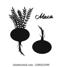 Lepidium meyenii. Maca. Black silhouette. Vector illustration