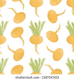 Lepidium meyenii. Maca. Root. Seamless pattern. Vector illustration.