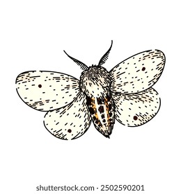 lepidoptera night moth hand drawn. scales flutter, crepuscular pheromones, chrysalis larvae lepidoptera night moth vector sketch. isolated color illustration