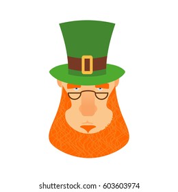 Leprechaun in green hat face. Head with Red beard. Portrait for St. Patricks Day celebration in Ireland

