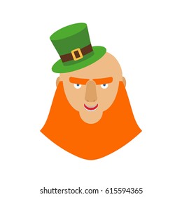 Leprechaun in green hat face. Head with Red beard. Portrait for St. Patricks Day celebration in Ireland
