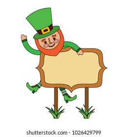 leprechaun on wooden board happy character