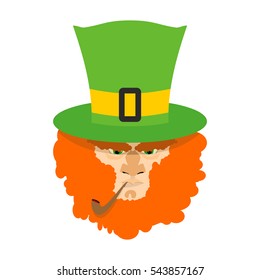 Leprechaun Red Beard St Patricks Day Stock Illustration 678581482