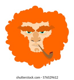 Leprechaun with red beard. St. Patricks Day character. Irish holiday
