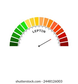 Fehlendes Niveau auf der Maßskala. Waage mit Pfeil. Farbenfrohes infografisches Messelement. Das menschliche Fettleibigkeitsprotein, das den Appetit reguliert, indem es Hunger hemmt.