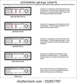 Leptospirosis IgM and IgG Cassette Rapid