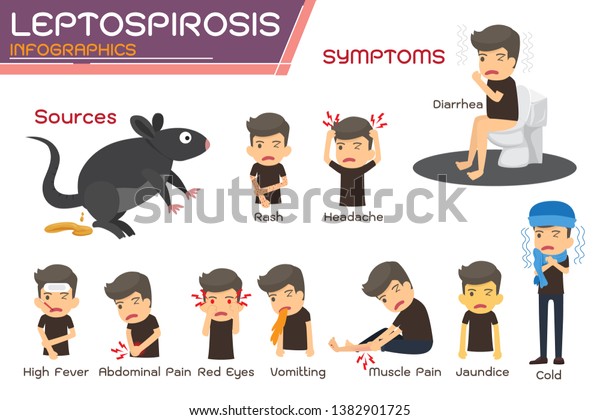 Leptospirosis Infographics Leptospirosis About Symptoms Prevention ...