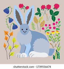 Lepus arcticus. Arctic hare vector isolated illustration. Polar hare. The animal lives in the north in Canada. Design raspberries, lingonberries, aspen, poppy, moss, lichen. Print, poster, book.