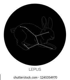 Lepus Constellation Vector