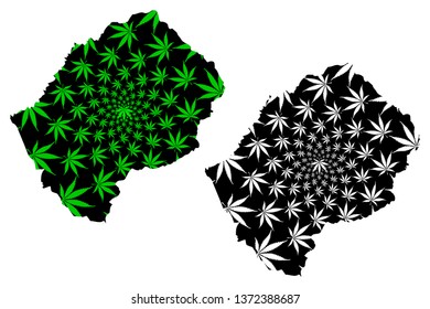 Lesotho - map is designed cannabis leaf green and black, Kingdom of Lesotho map made of marijuana (marihuana,THC) foliage,