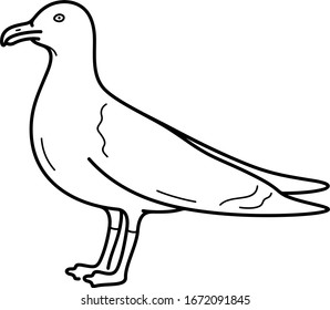 Lesser black-backed gull. Vector outline icon.