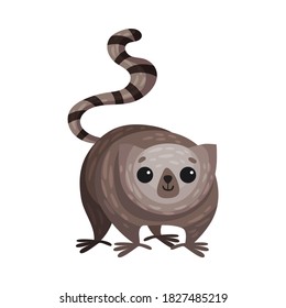 Lesser Galago Primate as African Animal Vector Illustration