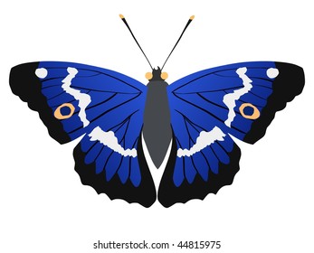 lesser purple emperor