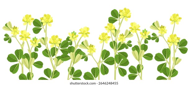 trevo menor, trevo amamentado, flor de campo, Trifolium dubium, vetor desenhando plantas selvagens no fundo branco, elementos florais, ilustração botânica desenhada à mão