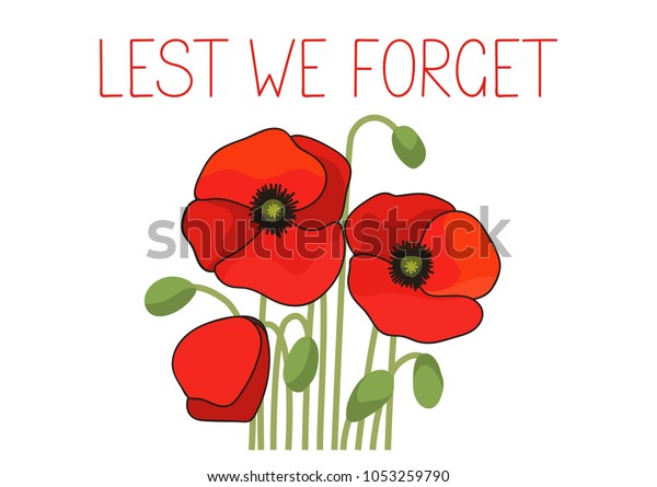 Lest We Forget Poppies On White Stock Vector (Royalty Free) 1053259790