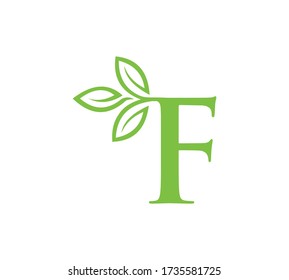 leter F leaf logo or vector.