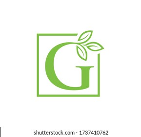 leter G  leaf logo or vector.
