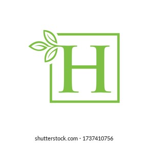 Buchstabe H Blatt Logo oder Vektor.