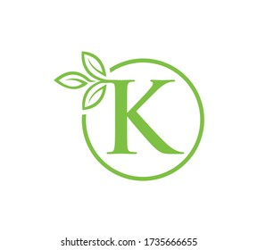 Leter K  Leaf Logo Or Vector.