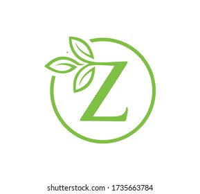 Buchstabe Z Blatt Logo oder Vektor.