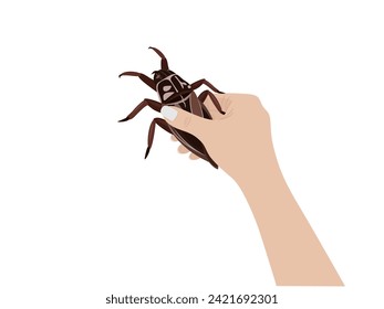 Lethocerus indicus on white background